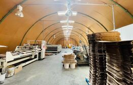 Hale Laborator cu teren 10000 mp, zona Malu Mare