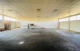 Teren 10000 mp, cu 2 hale de 330 mp si 900 mp, in zona Preajba