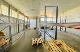 Teren 10000 mp, cu 2 hale de 330 mp si 900 mp, in zona Preajba