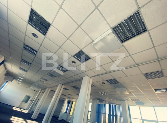 Spațiu comercial de închiriat Valea Rosie - 128090SIC | BLITZ Craiova | Poza6