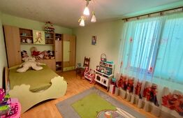 Casa 5 camere 190mp, 2 bai, curte cu pomi fructiferi. Plaiul Vulcanesti zona Garlesti 