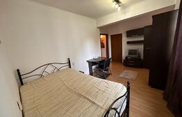 Garsoniera decomandata, ultracentral, zona Mercur