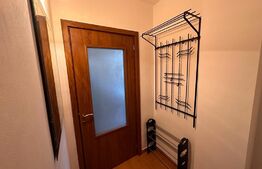 Garsoniera decomandata, ultracentral, zona Mercur