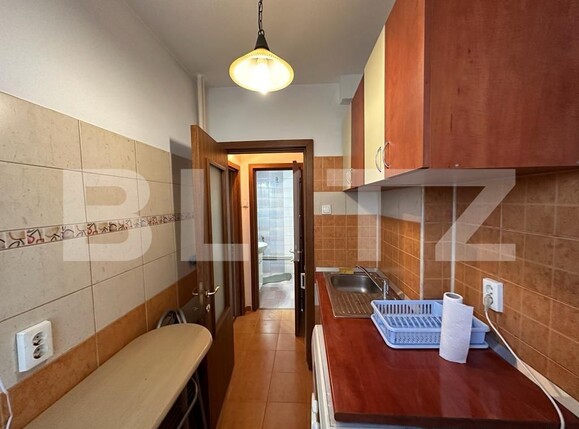 Garsonieră de închiriat Central - 128213AI | BLITZ Craiova | Poza7