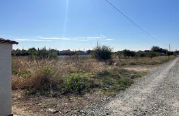 Teren 500 mp, in Albesti 