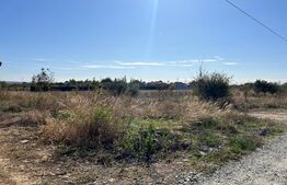 Teren 500 mp, in Albesti 