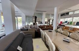 Spatiu comercial, 235 mp, zona Calea severinului