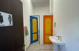 Spatiu comercial, 235 mp, zona Calea severinului