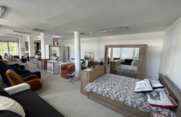 Spatiu comercial, 235 mp, zona Calea severinului