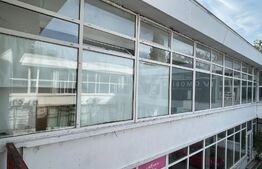 Spatiu comercial, 235 mp, zona Calea severinului