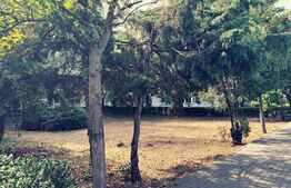 Parcele de teren de 75 mp, stradal, zona ultracentrala!