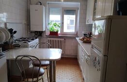 Apartament 5 camere decomandat, 1 Mai Zona Insula, 101mp totali