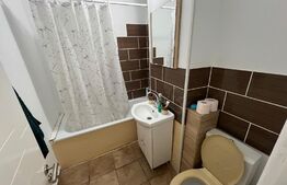 Garsonieră spațioasă, 28.3mp, zona Lidl - Valea Roșie - Luminos, Renovat & Mobilat