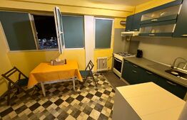 Garsonieră spațioasă, 28.3mp, zona Lidl - Valea Roșie - Luminos, Renovat & Mobilat