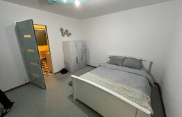 Garsonieră spațioasă, 28.3mp, zona Lidl - Valea Roșie - Luminos, Renovat & Mobilat