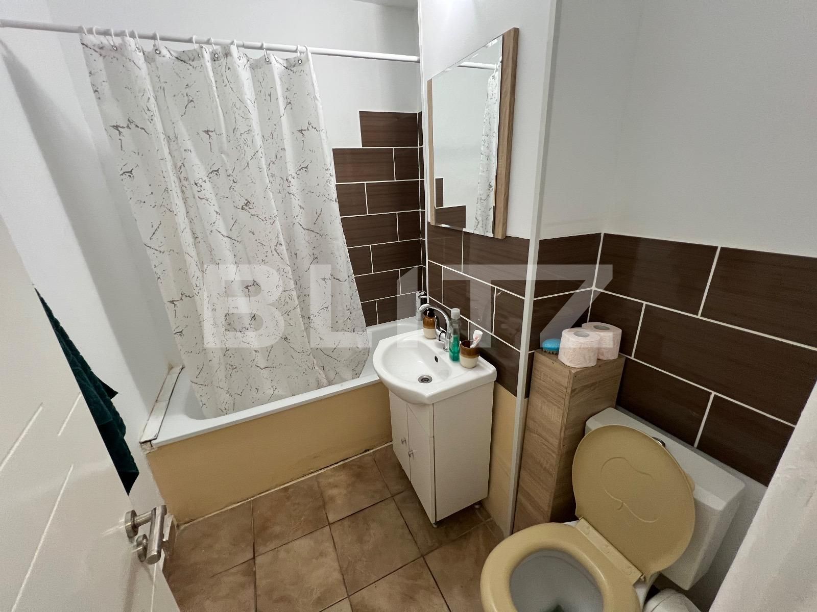 Garsonieră de vânzare Valea Rosie - 128381AV | BLITZ Craiova | Poza3