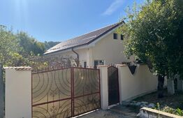 Casa 50mp, pe un teren de 1000mp, in Leamna de Jos