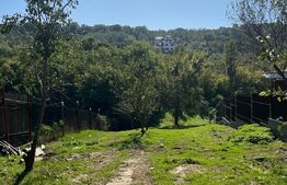 Casa 50mp, pe un teren de 1000mp, in Leamna de Jos