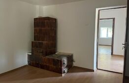 Casa 50mp, pe un teren de 1000mp, in Leamna de Jos