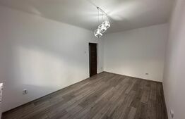 Garsoniera pretabila activitate de birouri, zona ultracentrala, Mercur