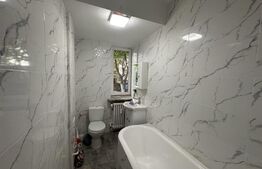 Garsoniera pretabila activitate de birouri, zona ultracentrala, Mercur