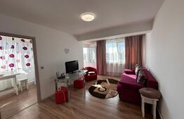 Apartament modern, 2 camere, centrala, zona Brazda