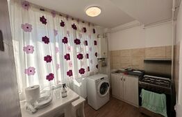 Apartament modern, 2 camere, centrala, zona Brazda