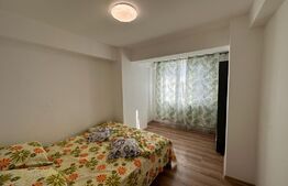 Apartament modern, 2 camere, centrala, zona Brazda