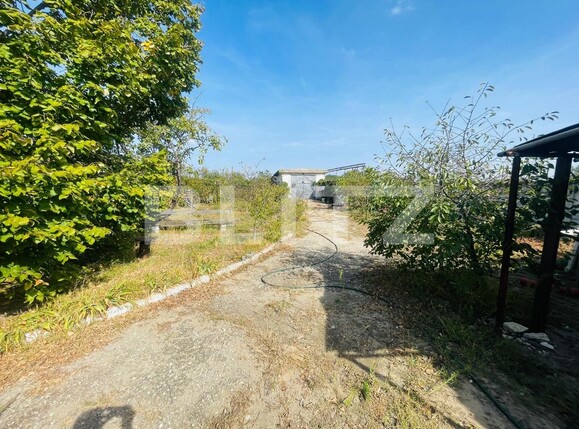 Spațiu comercial de închiriat Exterior Vest - 128619SIC | BLITZ Craiova | Poza3