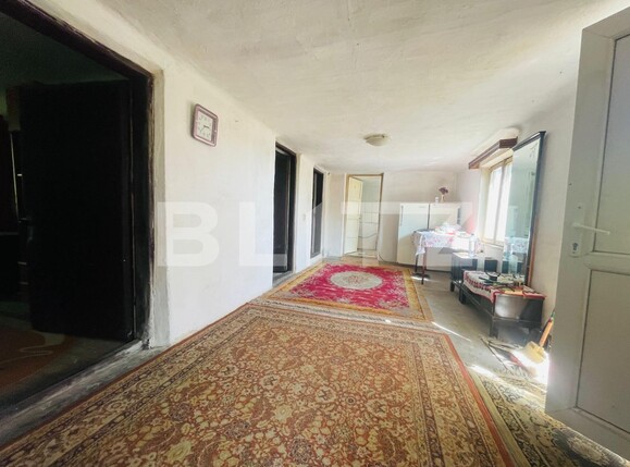 Spațiu comercial de închiriat Exterior Vest - 128619SIC | BLITZ Craiova | Poza11