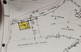 Teren intravilan de 2000 mp in Carcea, in proximitatea DN6 Craiova - Alexandria