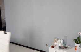 Apartament 3 camere, Centrala termica, Aer conditionat, zona Ultracentrala-Teatru