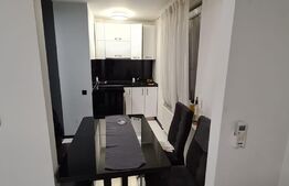 Apartament 3 camere, Centrala termica, Aer conditionat, zona Ultracentrala-Teatru