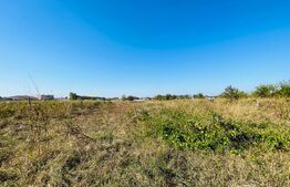 Teren intravilan 5000 mp, front 25 metri, Malu Mare-Preajba