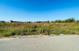 Teren intravilan 5000 mp, front 25 metri, Malu Mare-Preajba