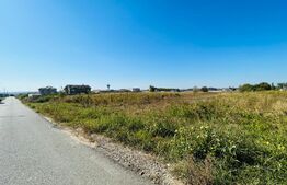 Teren intravilan 5000 mp, front 25 metri, Malu Mare-Preajba