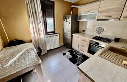 Garsonieră spațioasă de 33mp, la cheie, în cartier Valea Roșie - zona Lidl