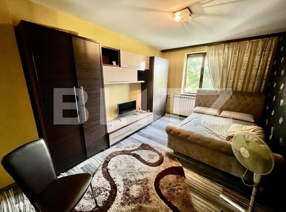 Garsonieră de vânzare Valea Rosie - 128693AV | BLITZ Craiova | Poza1