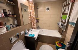 Apartament decomandat de 3 camere, finisaje de lux, în cartier Valea Roșie, zona Profi