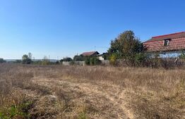 Parcele de teren intre 464 mp si 502 mp, in Preajba