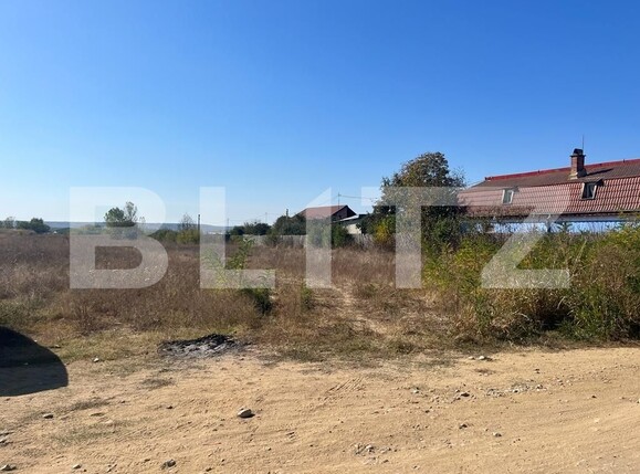 Teren de vânzare Preajba - 128842TV | BLITZ Craiova | Poza4