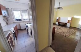 Apartament 3 camere, Centrala termica, Aer conditionat, zona Gradina Botanica