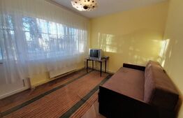 Apartament 3 camere, Centrala termica, Aer conditionat, zona Gradina Botanica