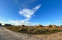 REDUCERE!!! Teren intravilan 9.903 mp, front 90 mp, toate utilitățile disponibile, zona Calea Severinului