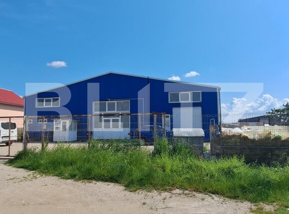 Spațiu industrial de închiriat Pielești - 129062SII | BLITZ Craiova | Poza2