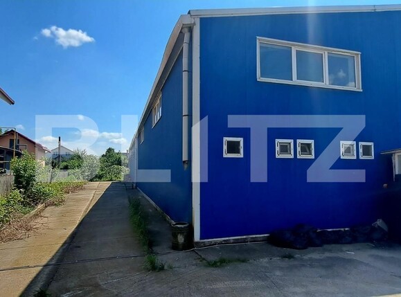 Spațiu industrial de închiriat Pielești - 129062SII | BLITZ Craiova | Poza4