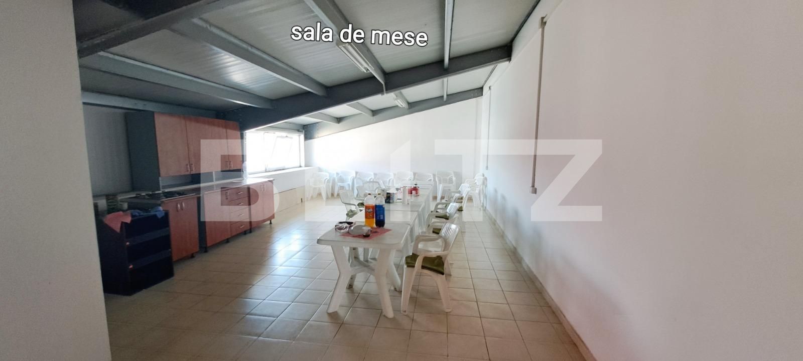 Spațiu industrial de închiriat Pielești - 129062SII | BLITZ Craiova | Poza8