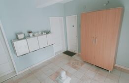 Casa de inchiriat, 500 mp, pretabila activitati de birou/comerciale, D+P+M,zona Bresti