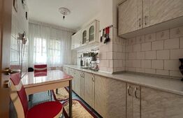 Apartament cu 2 camere în zona Rovine, complet mobilat, situat la etajul trei