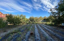 Vilă D + P + E + M de 600 mp utili, pe un teren de 1.400 mp, Catargiu